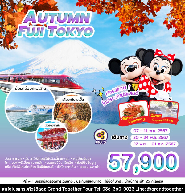 ทัวร์ญี่ปุ่น AUTUMN FUJI TOKYO - บริษัท แกรนด์ทูเก็ตเตอร์ จำกัด