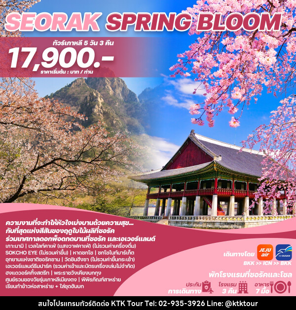 ทัวร์เกาหลี SEORAK SPRING BLOOM - บริษัท เคทีเค คอร์เปอเรชั่น จำกัด