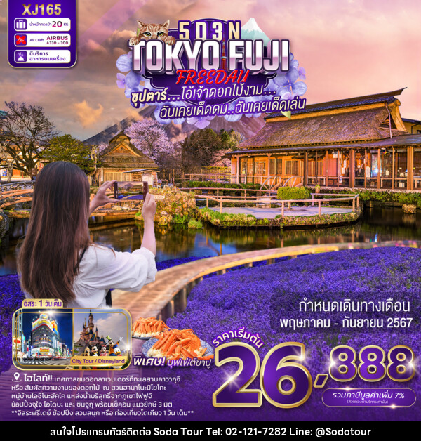 ทัวร์ญี่ปุ่น TOKYO FUJI FREEDAY - บริษัท โซดา เมนเนจเมนท์ จำกัด