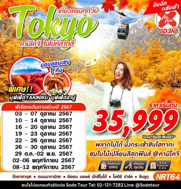 ทัวร์ญี่ปุ่น TOKYO คามิโคจิ ใบไม้หลากสี - บริษัท โซดา เมนเนจเมนท์ จำกัด