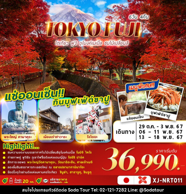 ทัวร์ญี่ปุ่น TOKYO FUJI AUTUMN - บริษัท โซดา เมนเนจเมนท์ จำกัด