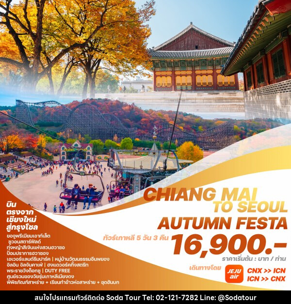 ทัวร์เกาหลี CHIANG MAI TO SEOUL AUTUMN FESTA  - บริษัท โซดา เมนเนจเมนท์ จำกัด