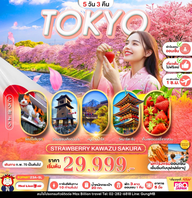 ทัวร์ญี่ปุ่น PRO TOKYO STRAWBERRY KAWAZU SAKURA - บริษัท แมกซ์ บิลเลี่ยนทราเวล จำกัด