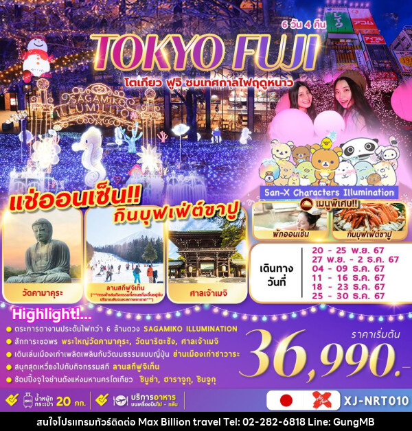 ทัวร์ญี่ปุ่น TOKYO FUJI  ชมงานประดับไฟ เล่นสกีฤดูหนาว  - บริษัท แมกซ์ บิลเลี่ยนทราเวล จำกัด