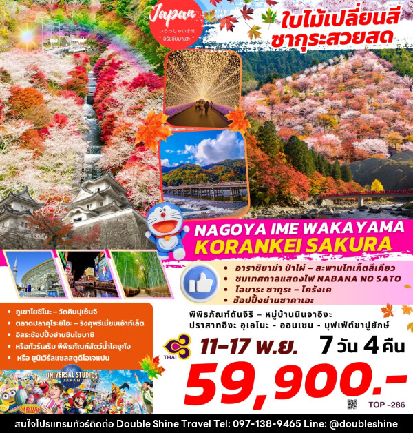 ทัวร์ญี่ปุ่น ใบไม้เปลี่ยนสี ซากุระสวยสด NAGOYA IME WAKAYAMA KORANKEI SAKURA - บริษัท ดับเบิล ชายน์ ทราเวล จำกัด