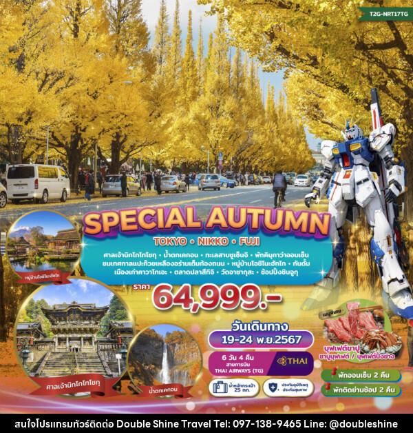 ทัวร์ญี่ปุ่น SPECIAL AUTUMN…TOKYO NIKKO FUJI GINKO FESTIVAL - บริษัท ดับเบิล ชายน์ ทราเวล จำกัด