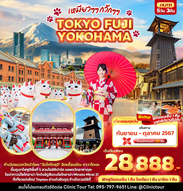 ทัวร์ญี่ปุ่น เหมียวๆๆ กวักๆๆ TOKYO FUJI YOKOHAMA  - บริษัท คลินิค ทัวร์ จำกัด