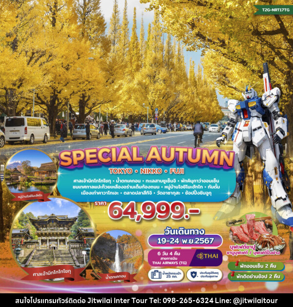 ทัวร์ญี่ปุ่น SPECIAL AUTUMN…TOKYO NIKKO FUJI GINKO FESTIVAL - บริษัท จิตรวิไลย อินเตอร์ทัวร์ จำกัด