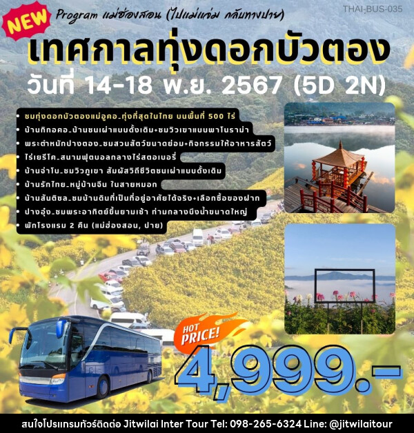 ทัวร์แม่ฮ่องสอน เทศกาลทุ่งดอกบัวตอง - บริษัท จิตรวิไลย อินเตอร์ทัวร์ จำกัด