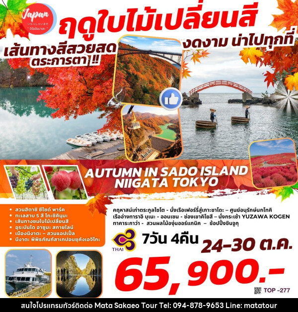 ทัวร์ญี่ปุ่น AUTUMN IN SADO ISLAND – NIIGATA TOKYO - หจก.มาตา สระแก้วทัวร์