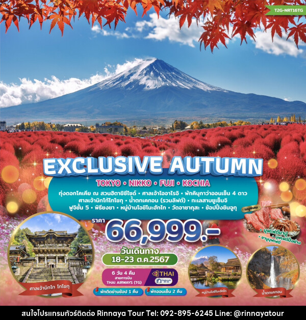 ทัวร์ญี่ปุ่น EXCLUSIVE AUTUMN TOKYO FUJI NIKKO KOCHIA   - ริณนาญาทัวร์