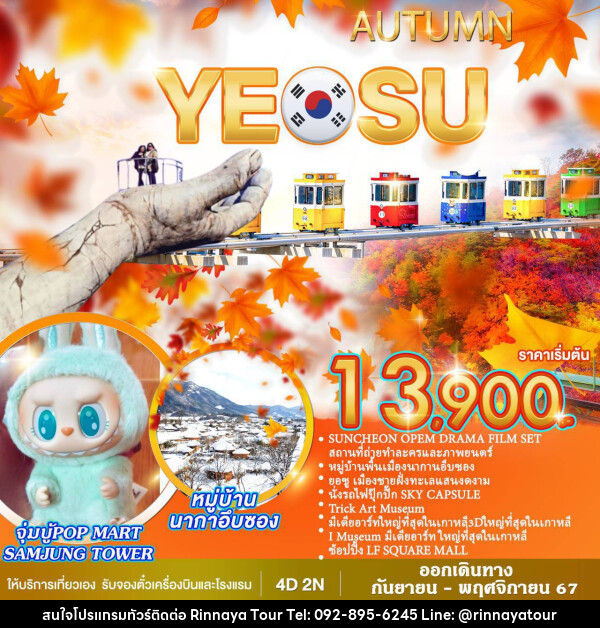 ทัวร์เกาหลี AUTUMN YEOSU - ริณนาญาทัวร์