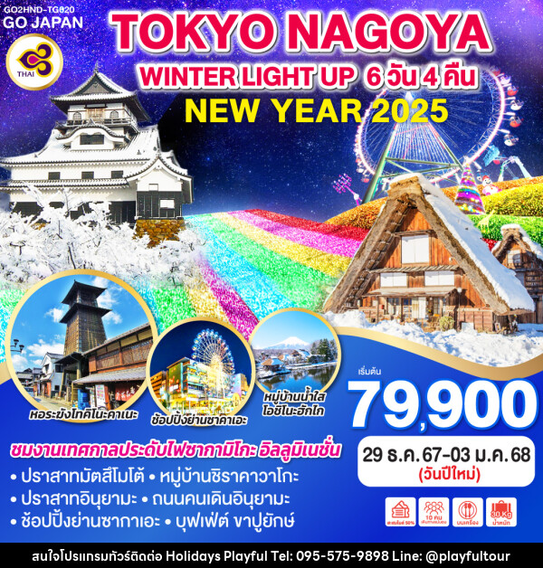 ทัวร์ญี่ปุ่น TOKYO NAGOYA WINTER LIGHT UP NEW YEAR - บริษัท ฮอลิเดย์ส เพลย์ฟูล จำกัด