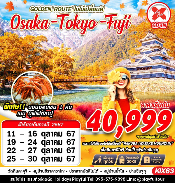 ทัวร์ญี่ปุ่น GOLDEN ROUTE ใบไม้เปลี่ยนสี Osaka Tokyo Fuji - บริษัท ฮอลิเดย์ส เพลย์ฟูล จำกัด