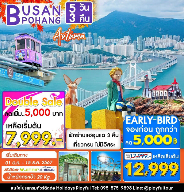 ทัวร์เกาหลี BUSAN POHANG AUTUMN - บริษัท ฮอลิเดย์ส เพลย์ฟูล จำกัด