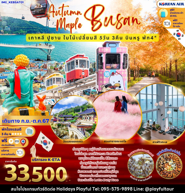 ทัวร์เกาหลี Autumn Maple Busan เกาหลีปูซาน ใบไม้เปลี่ยนสี  - บริษัท ฮอลิเดย์ส เพลย์ฟูล จำกัด