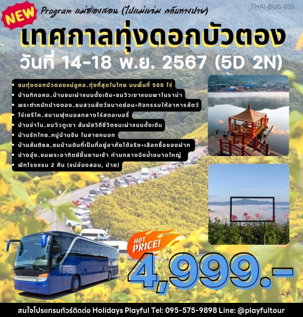 ทัวร์แม่ฮ่องสอน เทศกาลทุ่งดอกบัวตอง - บริษัท ฮอลิเดย์ส เพลย์ฟูล จำกัด