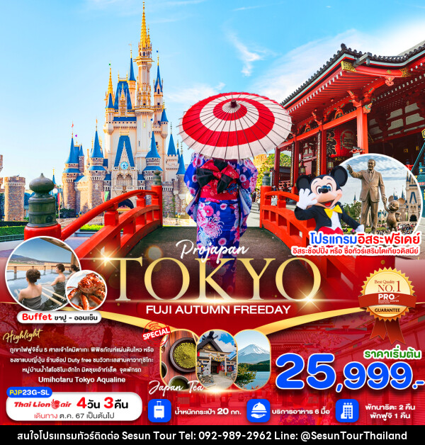 ทัวร์ญี่ปุ่น TOKYO FUJI AUTUMN FREE DAY - Orange Globo Co.,Ltd.