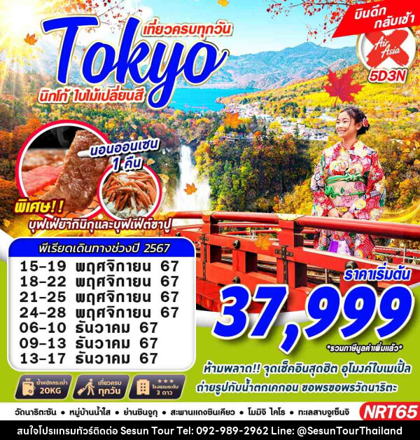 ทัวร์ญี่ปุ่น TOKYO นิกโก้ ใบไม้เปลี่ยนสี  - Orange Globo Co.,Ltd.