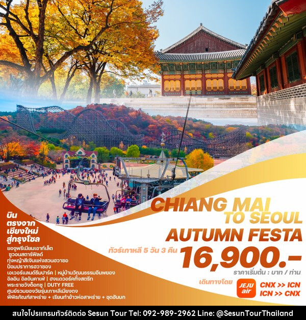 ทัวร์เกาหลี CHIANG MAI TO SEOUL AUTUMN FESTA  - Orange Globo Co.,Ltd.