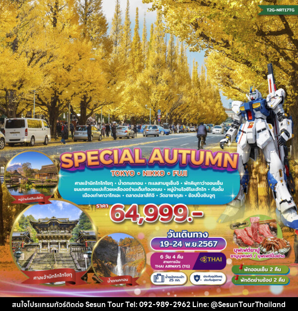 ทัวร์ญี่ปุ่น SPECIAL AUTUMN…TOKYO NIKKO FUJI GINKO FESTIVAL - Orange Globo Co.,Ltd.