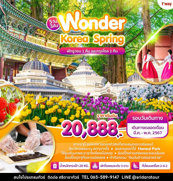 ทัวร์เกาหลี Wonder Korea Spring - ศรีดาราทัวร์ อำนาจเจริญ