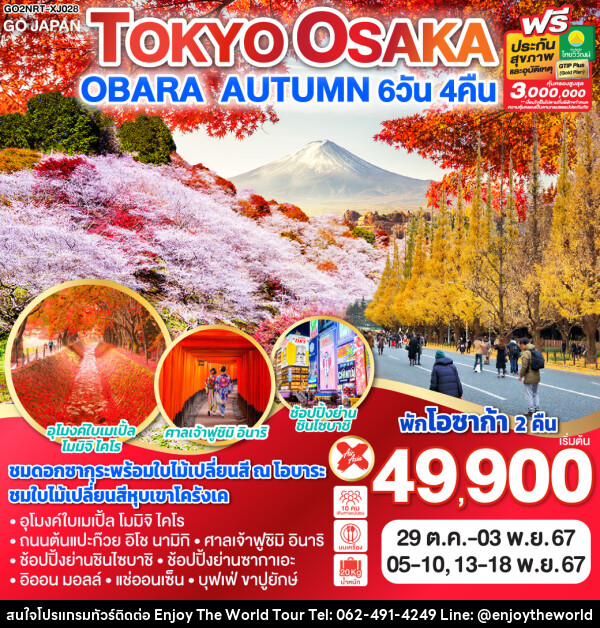 ทัวร์ญี่ปุ่น TOKYO OSAKA OBARA AUTUMN - บริษัท เอ็นจอยเดอะเวิลด์ จำกัด