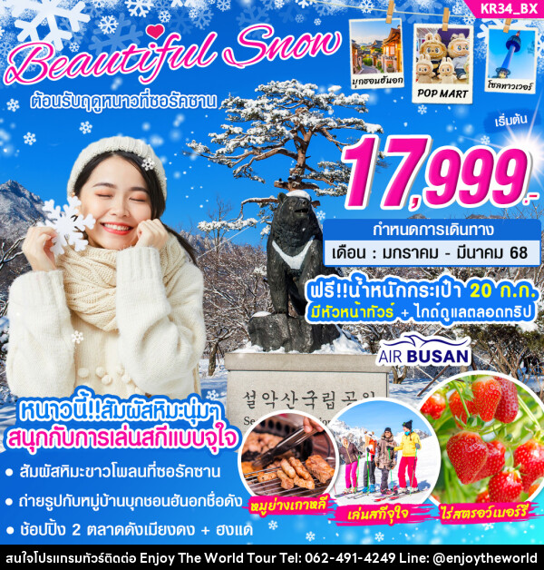 ทัวร์เกาหลี BEAUTIFUL SNOW  - บริษัท เอ็นจอยเดอะเวิลด์ จำกัด