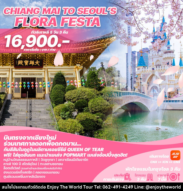 ทัวร์เกาหลีบินตรงเชียงใหม่ - โซล CHIANG MAI TO SEOUL'S FLORA FESTA - บริษัท เอ็นจอยเดอะเวิลด์ จำกัด