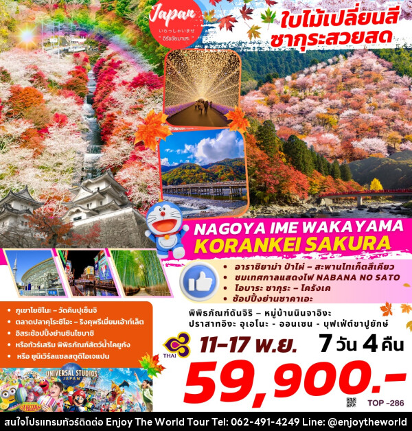 ทัวร์ญี่ปุ่น ใบไม้เปลี่ยนสี ซากุระสวยสด NAGOYA IME WAKAYAMA KORANKEI SAKURA - บริษัท เอ็นจอยเดอะเวิลด์ จำกัด