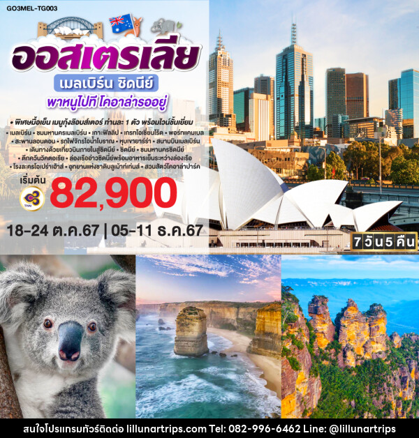 ทัวร์ออสเตรเลีย เมลเบิร์น ซิดนีย์ พาหนูไปทีโคอาล่ารออยู่  - Lillunar Trips