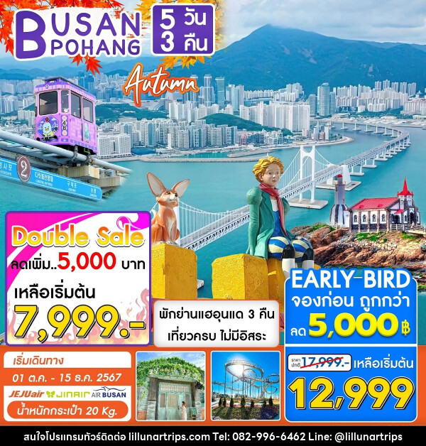 ทัวร์เกาหลี BUSAN POHANG AUTUMN - Lillunar Trips