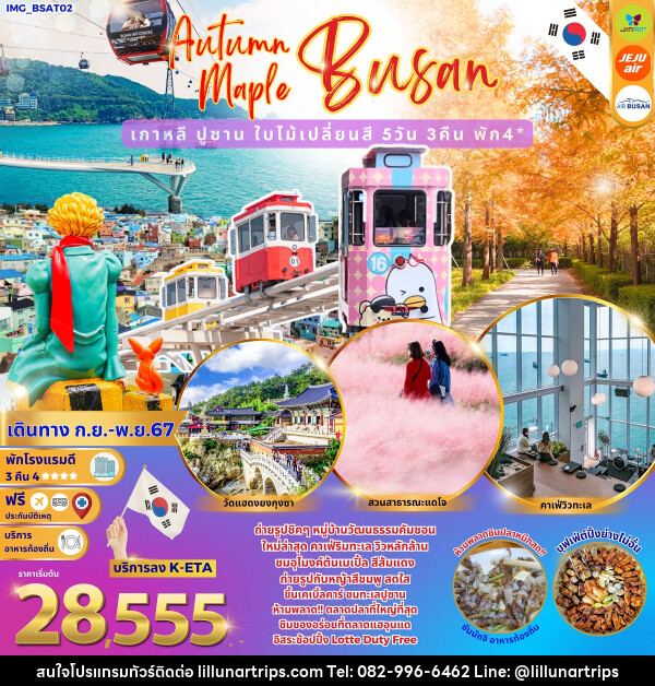 ทัวร์เกาหลี Autumn Maple Busan เกาหลีปูซาน ใบไม้เปลี่ยนสี - Lillunar Trips