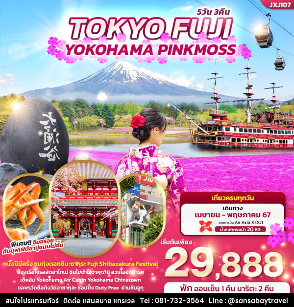 ทัวร์ญี่ปุ่น TOKYO FUJI YOKOHAMA PINKMOSS  - แสนสบาย แทรเวล