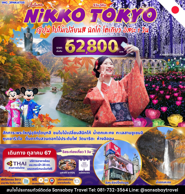 ทัวร์ญี่ปุ่น NIKKO TOKYO  - แสนสบาย แทรเวล