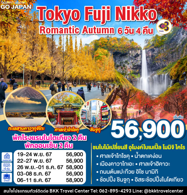 ทัวร์ญี่ปุ่น TOKYO FUJI NIKKO ROMANTIC AUTUMN - บริษัทพลัสส์ (กรุงเทพ) จำกัด 