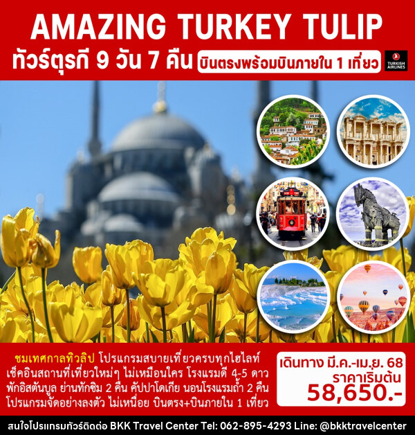 ทัวร์ตุรกี AMAZING TURKEY TULIP - บริษัทพลัสส์ (กรุงเทพ) จำกัด 