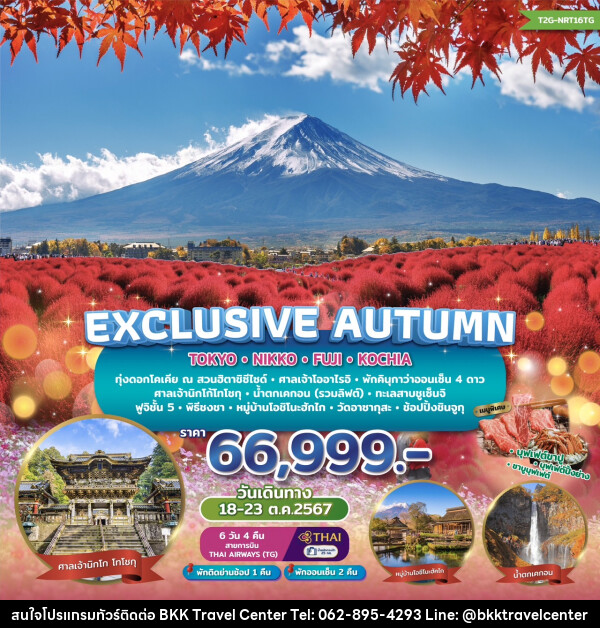 ทัวร์ญี่ปุ่น EXCLUSIVE AUTUMN TOKYO FUJI NIKKO KOCHIA   - บริษัทพลัสส์ (กรุงเทพ) จำกัด 