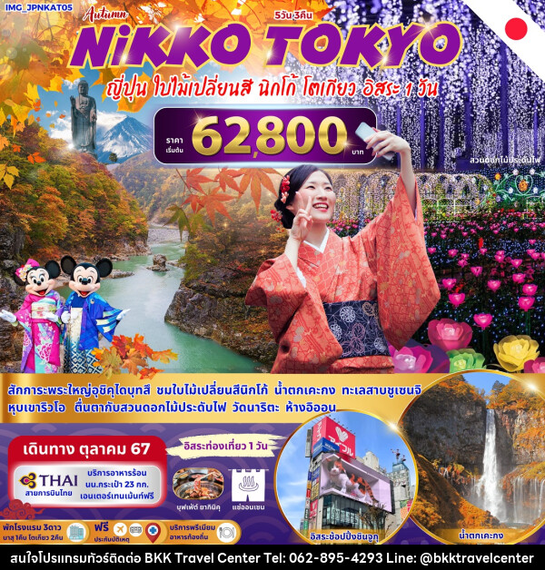 ทัวร์ญี่ปุ่น NIKKO TOKYO  - บริษัทพลัสส์ (กรุงเทพ) จำกัด 