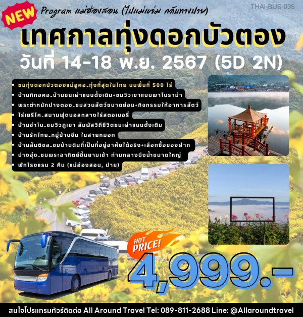 ทัวร์แม่ฮ่องสอน เทศกาลทุ่งดอกบัวตอง - บริษัท ออลอะราวด์ทราเวล จำกัด