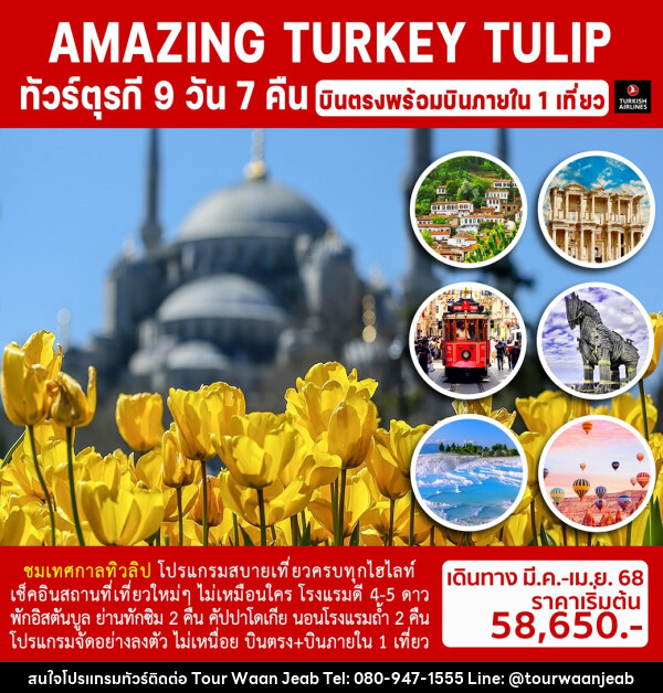 ทัวร์ตุรกี AMAZING TURKEY TULIP - บริษัท ออล แด็ท ทราเวล จำกัด