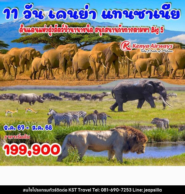 ทัวร์เคนย่า แทนซาเนีย ดินแดงแห่งฝูงสัตว์นานาชนิด สนุกสนานกับการตามหา Big5 - KST TRAVEL