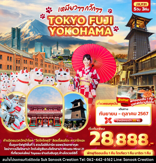 ทัวร์ญี่ปุ่น เหมียวๆๆ กวักๆๆ TOKYO FUJI YOKOHAMA  - บริษัท สุขสนุก ครีเอชั่น จำกัด