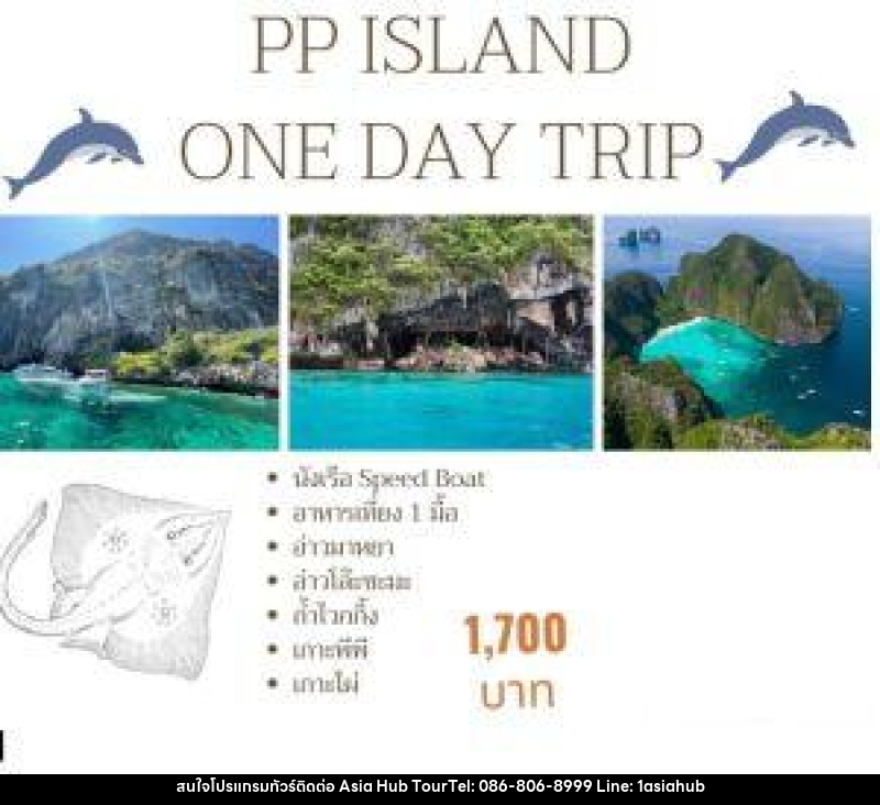 แพ็คเกจทัวร์กระบี่ PP ISLAND ONE DAY TRIP - ASIA HUB