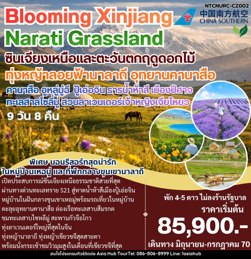 ทัวร์จีน Bloomming Xinjiang Narati Grassland ซินเจียงเหนือและตะวันตกฤดูดอกไม้ - ASIA HUB