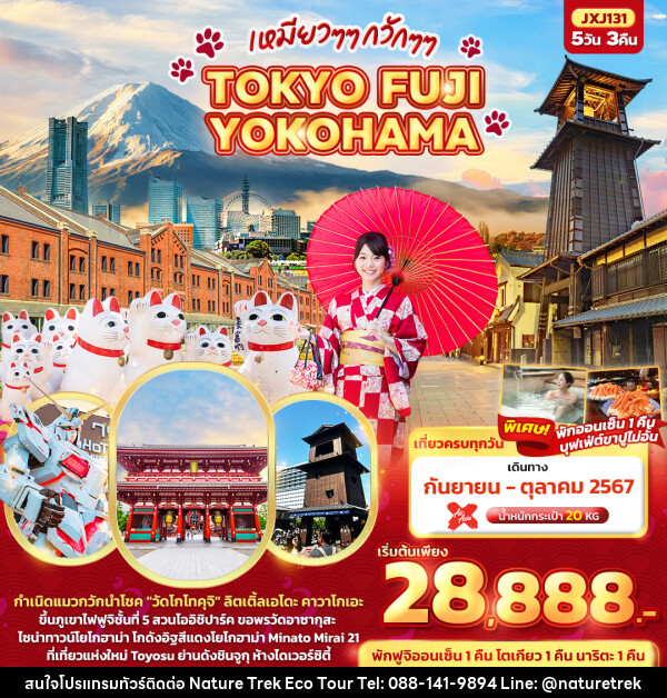 ทัวร์ญี่ปุ่น เหมียวๆๆ กวักๆๆ TOKYO FUJI YOKOHAMA  - NATURE TREK ECO TOUR & TRAVEL