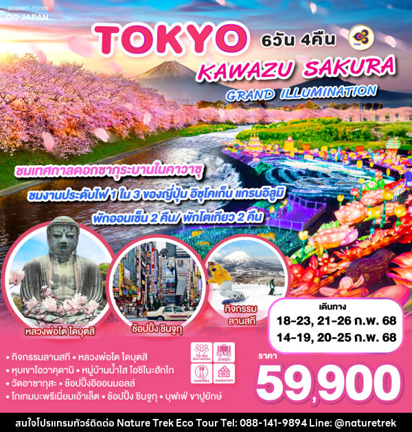 ทัวร์ญี่ปุ่น TOKYO KAWAZU SAKURA GRANDILLUMINATION - NATURE TREK ECO TOUR & TRAVEL