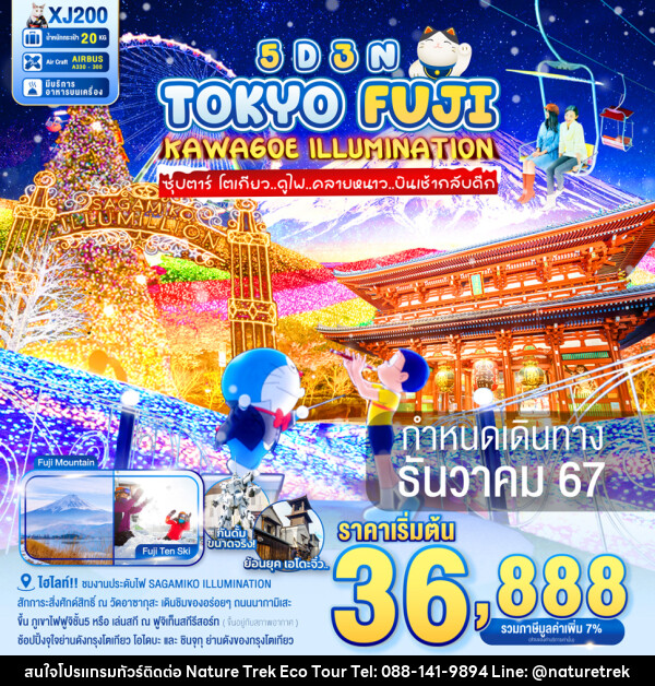 ทัวร์ญี่ปุ่น TOKYO FUJI KAWAGOE ILLUMINATION - NATURE TREK ECO TOUR & TRAVEL