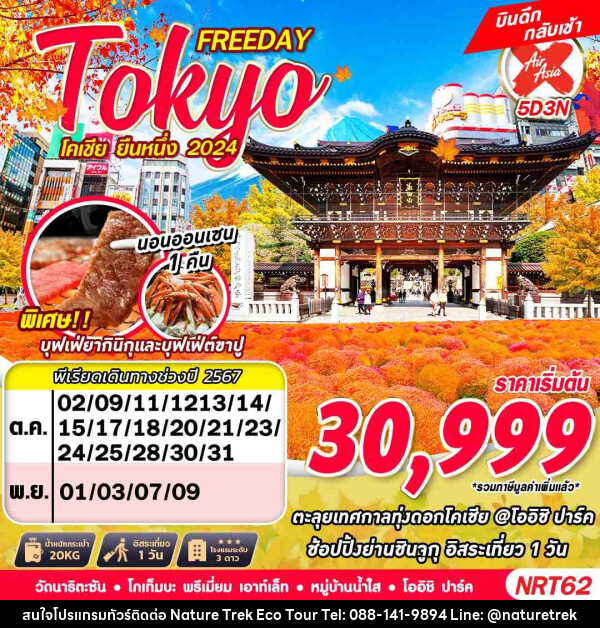 ทัวร์ญี่ปุ่น TOKYO โคเชีย ยืนหนึ่ง 2024 - NATURE TREK ECO TOUR & TRAVEL