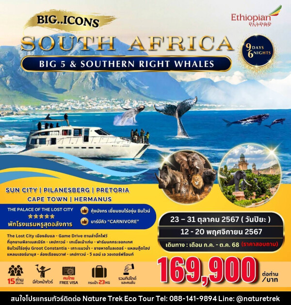 ทัวร์แอฟริกาใต้ SOUTH AFRICA BIG 5 & SOUTHERN RIGHT WHALES - NATURE TREK ECO TOUR & TRAVEL